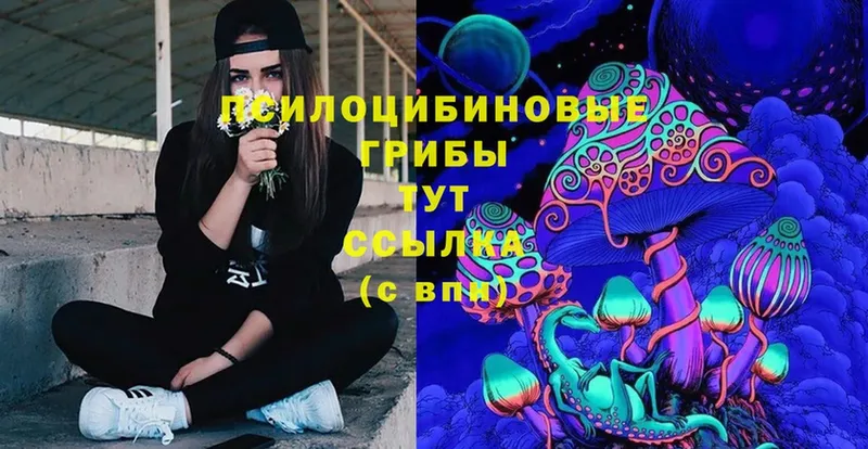 Галлюциногенные грибы Cubensis Ипатово